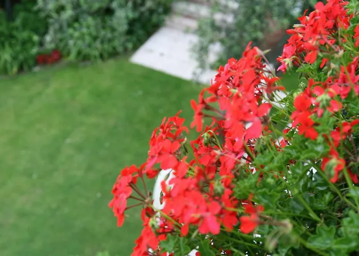 Hotel Villa Nadia